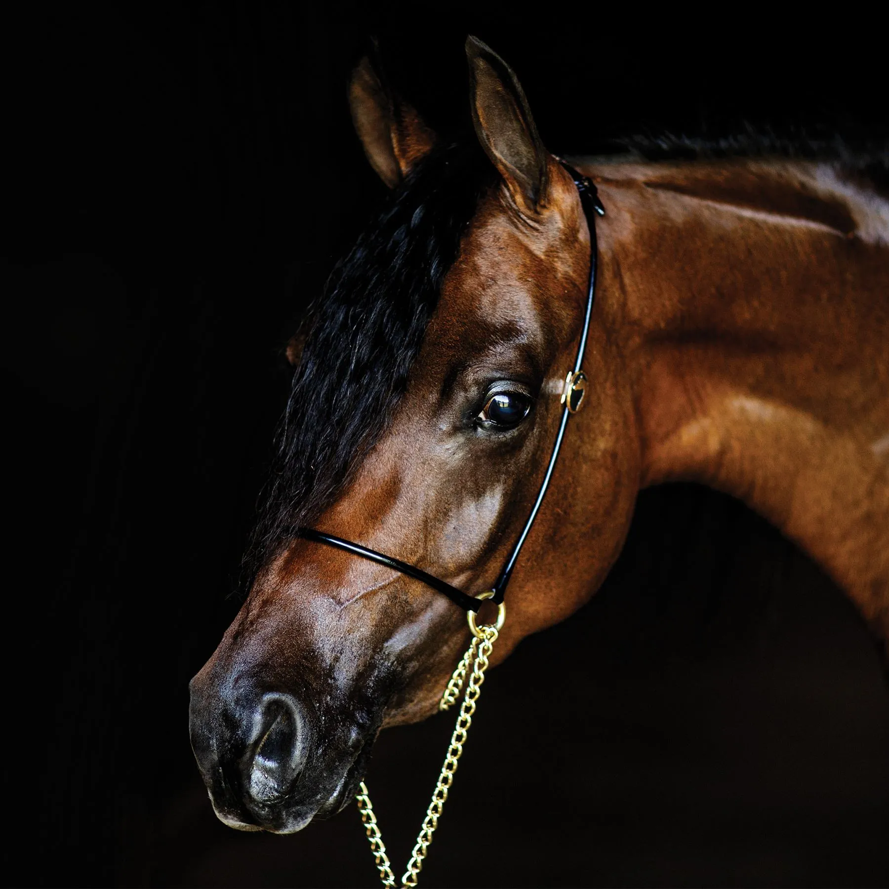 Billy Royal Thread Controller With Gold Rings 2 Billy Royal Thread Controller With Gold Rings - Image 2