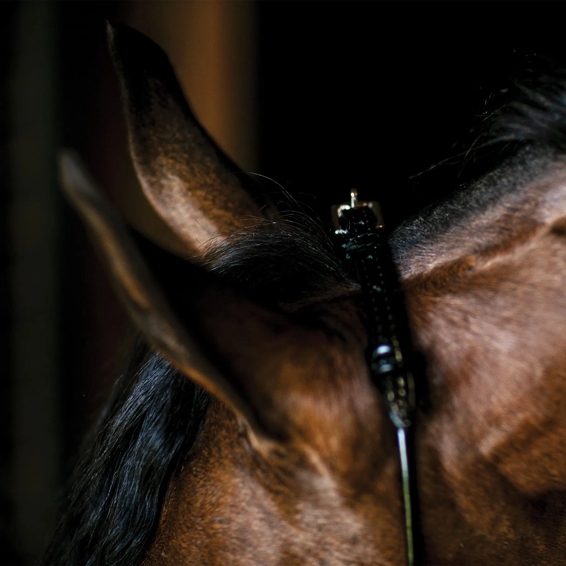 Billy Royal Thread Controller With Gold Rings 3 Billy Royal Thread Controller With Gold Rings - Image 3