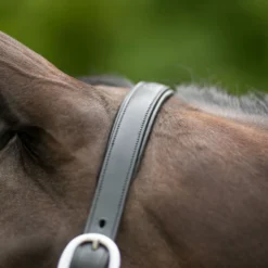 Joseph Sterling® Aachen Dressage Halter 13 Joseph Sterling® Aachen Dressage Halter -Weaver Leather Shop 32690 alt b