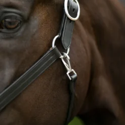 Joseph Sterling® Aachen Dressage Halter 14 Joseph Sterling® Aachen Dressage Halter -Weaver Leather Shop 32690 alt c
