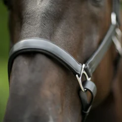 Joseph Sterling® Aachen Dressage Halter 15 Joseph Sterling® Aachen Dressage Halter -Weaver Leather Shop 32690 alt d