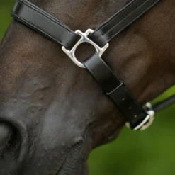 Joseph Sterling® Aachen Dressage Halter 16 Joseph Sterling® Aachen Dressage Halter -Weaver Leather Shop 32690 alt e