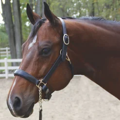 Joseph Sterling® Aachen Dressage Halter 17 Joseph Sterling® Aachen Dressage Halter -Weaver Leather Shop 32690 blackwblack