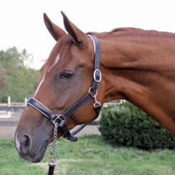 Joseph Sterling® Aachen Dressage Halter 18 Joseph Sterling® Aachen Dressage Halter -Weaver Leather Shop 32690 blackwwhite