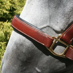 Billy Royal® Saratoga Padded Leather Halter -Weaver Leather Shop 33243 alt d