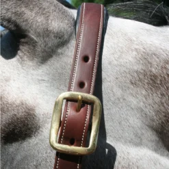 Billy Royal® Saratoga Padded Leather Halter -Weaver Leather Shop 33243 alt e