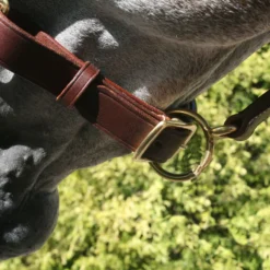 Billy Royal® Saratoga Padded Leather Halter -Weaver Leather Shop 33243 alt f