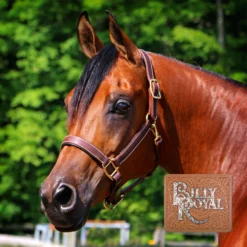 Billy Royal® Saratoga Padded Leather Halter