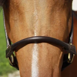 Billy Royal® Paris Rolled Nose Leather Halter 12 Billy Royal® Paris Rolled Nose Leather Halter -Weaver Leather Shop 33369 alt d