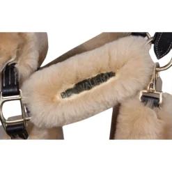 Premier® Premier Scottsdale Padded 3/4" Leather Halter -Weaver Leather Shop 33370 alt b