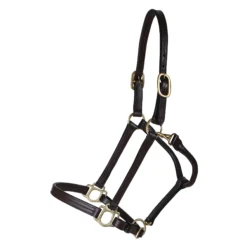 Premier® Premier Fort Worth 3/4" Leather Halter -Weaver Leather Shop 33371 alt b