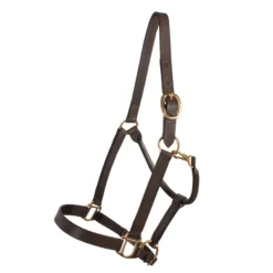 Premier® Premier Kentucky Leather Halter - Cob Or Full Size -Weaver Leather Shop 33380 alt d