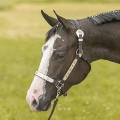 Raleigh Phoenix Show Halter With Lead