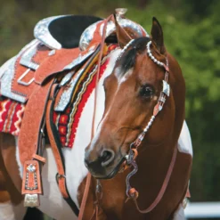 Billy Royal® Supreme Champion Western Show Saddle -Weaver Leather Shop 34192 alt b