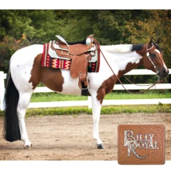Billy Royal® Supreme Champion Western Show Saddle -Weaver Leather Shop 34192 alt c