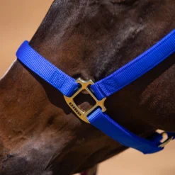 Weaver Leather Weaver Non-Adjust Nylon Halter -Weaver Leather Shop 34506 alt b