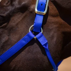 Weaver Leather Weaver Non-Adjust Nylon Halter -Weaver Leather Shop 34506 alt c