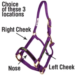 Weaver Leather Weaver Embroidered Nylon Halter -Weaver Leather Shop 35039 alt c