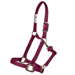 Weaver Leather Weaver Embroidered Nylon Halter -Weaver Leather Shop 35039 burgundy