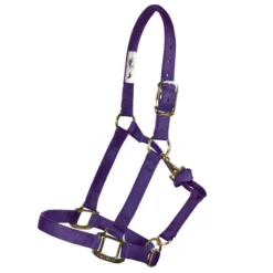 Weaver Leather Weaver Embroidered Nylon Halter -Weaver Leather Shop 35039 purple