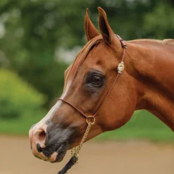 Billy Royal® Comfort Concho Original Thread -Weaver Leather Shop 36346 alt d