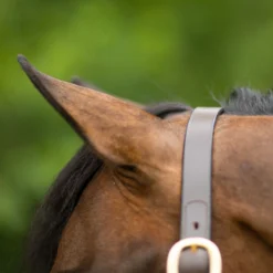 Premier® Premier Lancaster Leather Halter -Weaver Leather Shop 37511 alt b