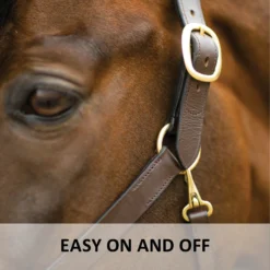 Premier® Premier Lancaster Leather Halter -Weaver Leather Shop 37511 feature c overlay
