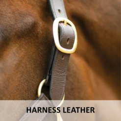 Premier® Premier Lancaster Leather Halter -Weaver Leather Shop 37511 feature d overlay
