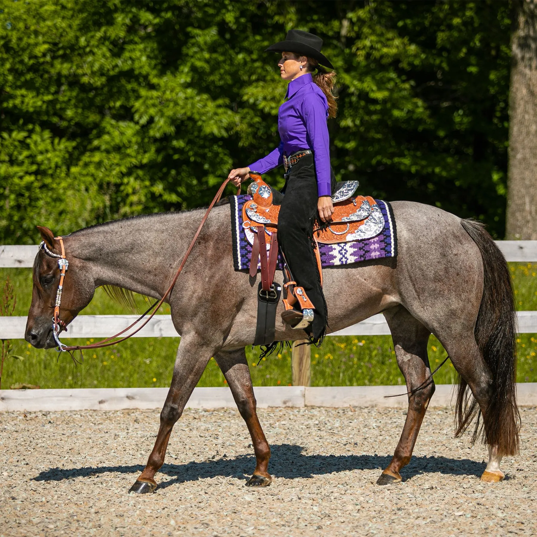 Schneiders® Nancy Western Show Blanket 2 Schneiders® Nancy Western Show Blanket - Image 2
