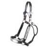 Billy Royal Silver Plate Nantucket Show Halter For Horses