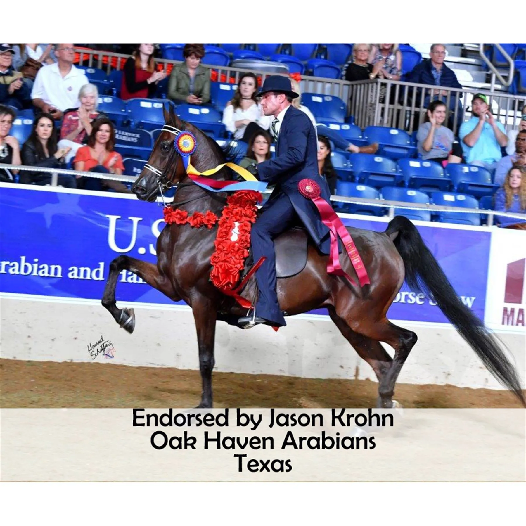 Joseph Sterling Millennium Masterbuilt Cutback Saddle 11 Joseph Sterling Millennium Masterbuilt Cutback Saddle - Image 11