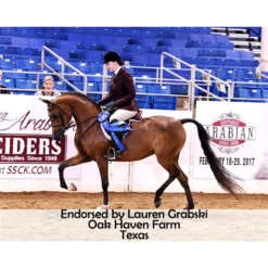 Joseph Sterling Millennium Masterbuilt Cutback Saddle 25 Joseph Sterling Millennium Masterbuilt Cutback Saddle -Weaver Leather Shop 38758 prof b overlay