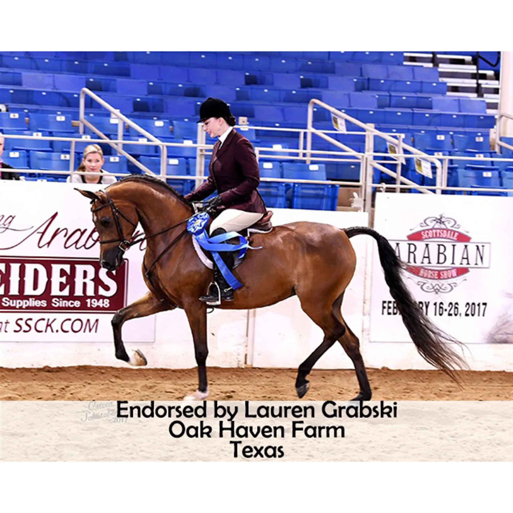 Joseph Sterling Millennium Masterbuilt Cutback Saddle 12 Joseph Sterling Millennium Masterbuilt Cutback Saddle - Image 12