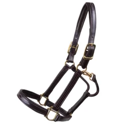 Walsh™ Signature Padded Leather Halter -Weaver Leather Shop 38852 havanahavana