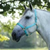 Dura-Tech® Draft Horse Nylon Halter