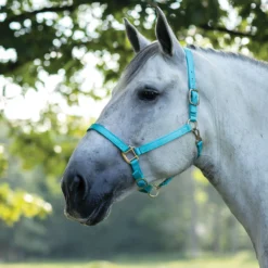 Dura-Tech® Draft Horse Nylon Halter