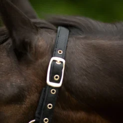 Dura-Tech® Deluxe Fully Padded 3/4" Nylon Halter 13 Dura-Tech® Deluxe Fully Padded 3/4" Nylon Halter -Weaver Leather Shop 40249 alt b