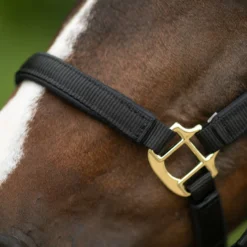 Dura-Tech® Deluxe Fully Padded 3/4" Nylon Halter 14 Dura-Tech® Deluxe Fully Padded 3/4" Nylon Halter -Weaver Leather Shop 40249 alt c