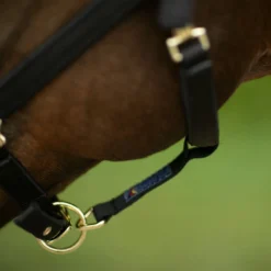 Dura-Tech® Deluxe Fully Padded 3/4" Nylon Halter 15 Dura-Tech® Deluxe Fully Padded 3/4" Nylon Halter -Weaver Leather Shop 40249 alt d
