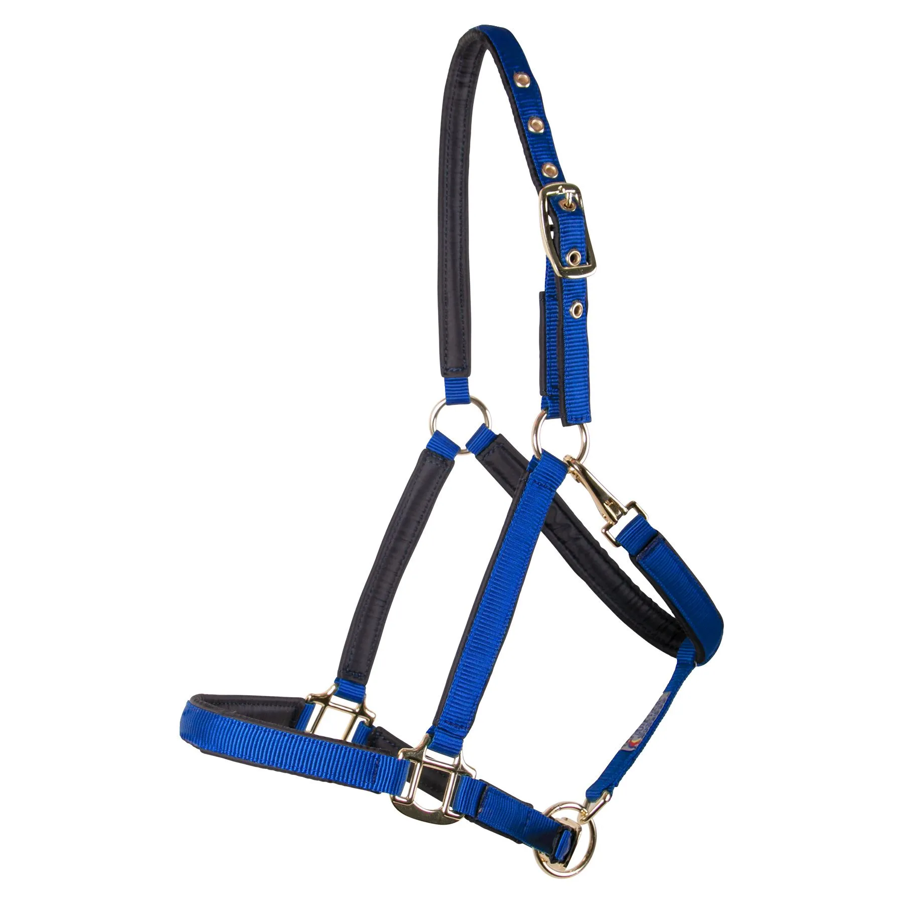 Dura-Tech® Deluxe Fully Padded 3/4" Nylon Halter 7 Dura-Tech® Deluxe Fully Padded 3/4" Nylon Halter - Image 7