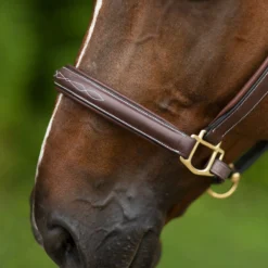 Joseph Sterling® Comfort Crown Leather Halter -Weaver Leather Shop 40504 alt e