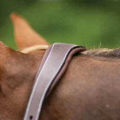 Joseph Sterling® Comfort Crown Leather Halter -Weaver Leather Shop 40504 alt f