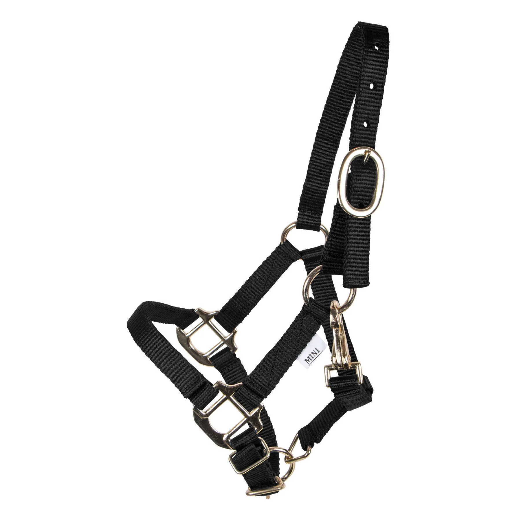 Dura-Tech Miniature Double Ply Nylon Halter For Horses 5 Dura-Tech Miniature Double Ply Nylon Halter For Horses - Image 5