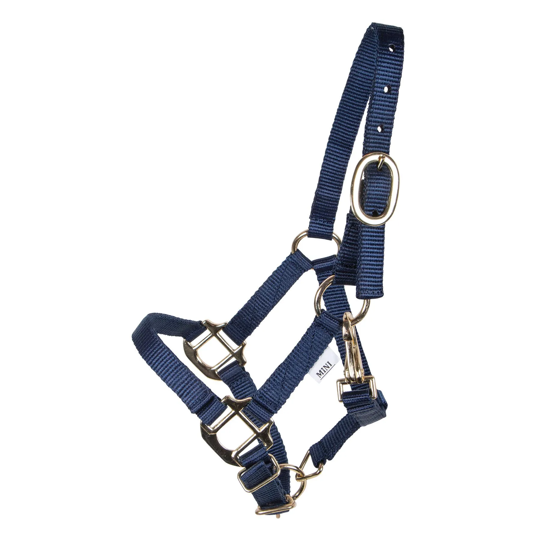 Dura-Tech Miniature Double Ply Nylon Halter For Horses 6 Dura-Tech Miniature Double Ply Nylon Halter For Horses - Image 6