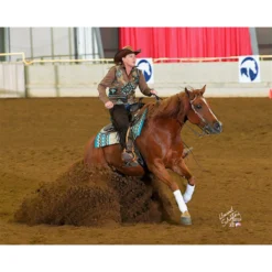 Billy Royal Gemini Arabian Silver Show Halter For Horses -Weaver Leather Shop 40827 prof a