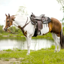 Double S Apache Trail Saddle 20 Double S Apache Trail Saddle -Weaver Leather Shop 41044 alt a