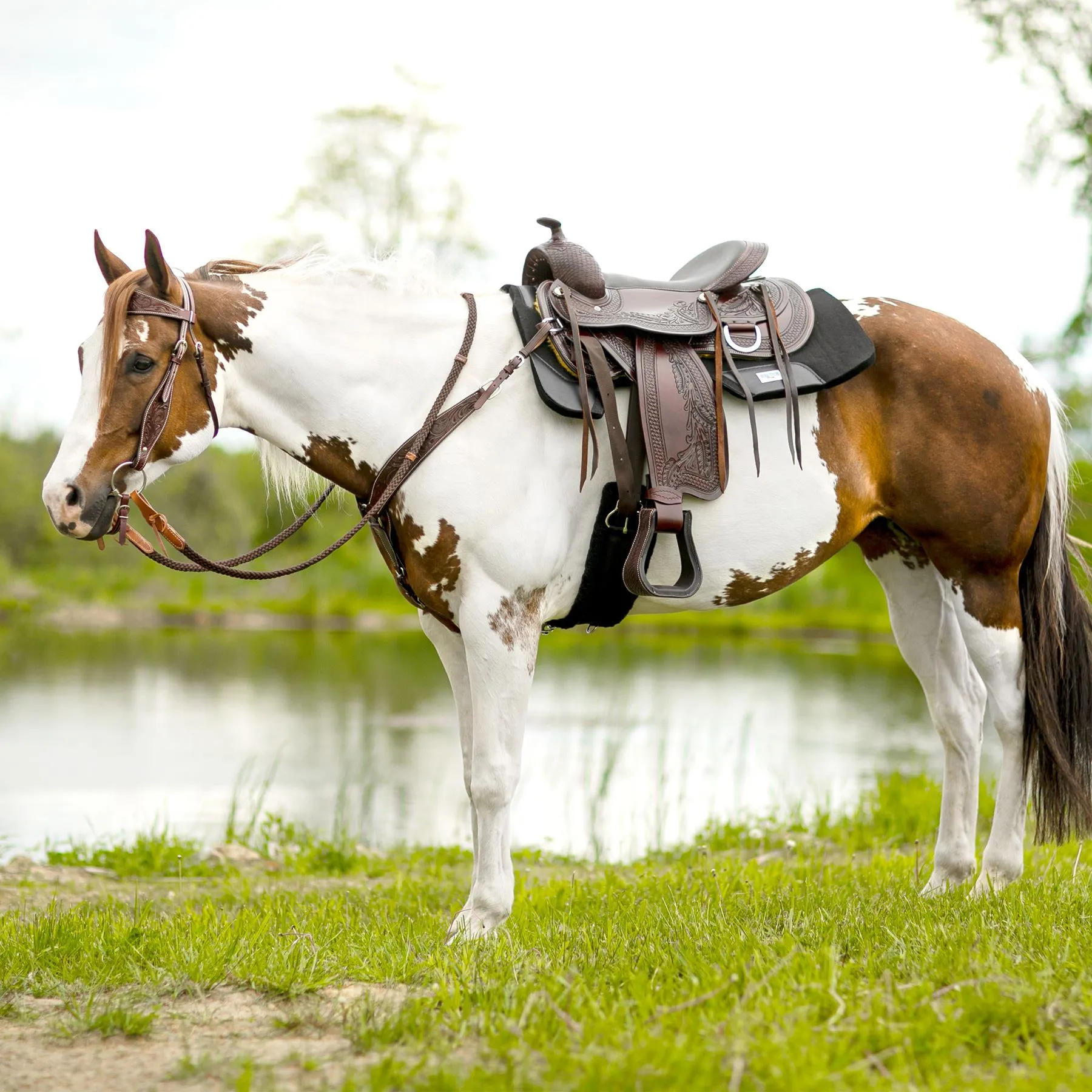 Double S Apache Trail Saddle 8 Double S Apache Trail Saddle - Image 8