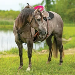 Double S Reno Breastcollar -Weaver Leather Shop 41095 alt e