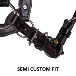 Billy Royal® Sydney Silver Show Halter -Weaver Leather Shop 41196 feature c overlay