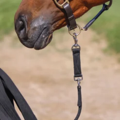 Front Page -Weaver Leather Shop 41841 alt a